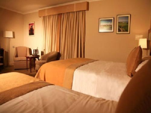 Harty Costello Town House Ballybunion Zimmer foto